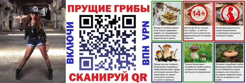 Галлюциногенные грибы Cubensis  Купить закладки  Кумертау 